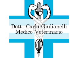 Dott Giulianelli logo